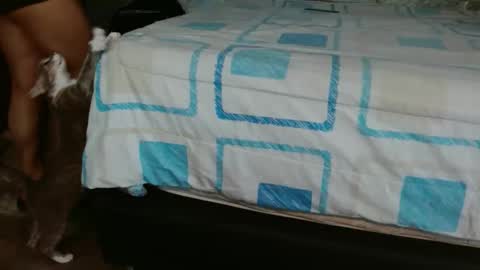 Snapshot of dream_real chatting on November 1, 2:41 pm dreamreal online show from November 1, 2:41 pm