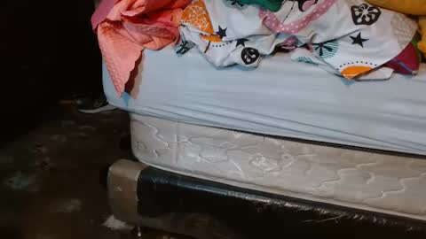 dreamreal online show from May 12, 10:34 am