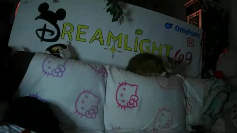 Snapshot of dreamlight69 chatting on January 26, 7:53 am Dreamlight online show from January 26, 7:53 am