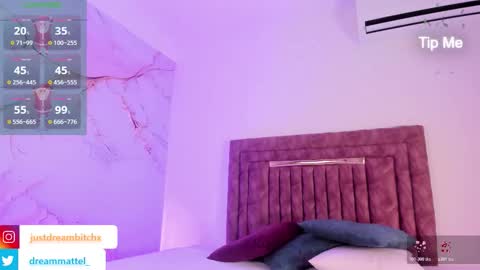 Snapshot of dreammatell_ chatting on December 23, 3:48 am Dream Matell online show from December 23, 3:48 am