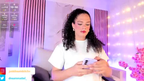Snapshot of dreammatell_ chatting on April 28, 3:22 am Dream Matell online show from April 28, 3:22 am