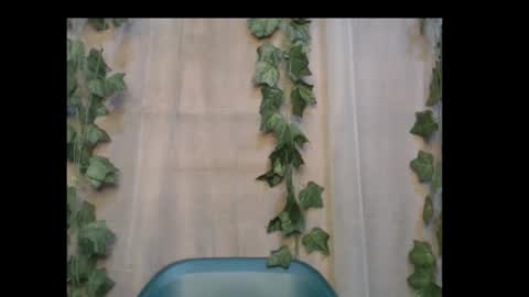 linda online show from October 14, 12:50 pm