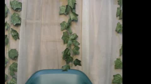 linda online show from January 16, 7:29 pm