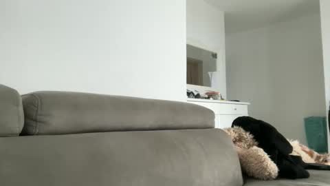 Dr. Resa online show from October 18, 9:54 am