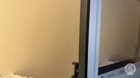 Snapshot of druelsexy chatting on February 1, 12:31 am Ell Dru Sexy online show from February 1, 12:31 am