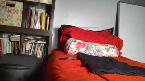 Snapshot of dsexordium chatting on February 5, 10:22 pm dsexordium online show from February 5, 10:22 pm