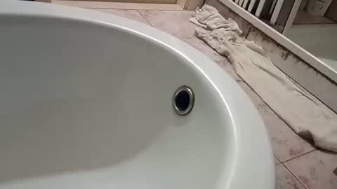 dthedog12 online show from November 9, 9:46 pm