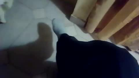 dthedog12 online show from December 13, 9:42 pm