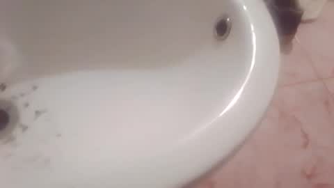 dthedog12 online show from February 8, 9:40 pm