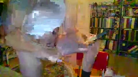 duallines2 online show from March 14, 5:35 am