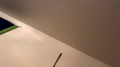 ducebabydee online show from January 19, 9:13 am