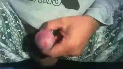 dude_13 online show from October 16, 4:13 am