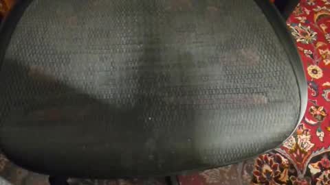 dudewipe online show from February 7, 7:34 am