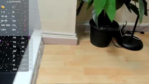 dulce__fiore07 online show from November 28, 11:46 am