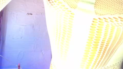 Snapshot of dulce_smith02 chatting on March 22, 12:47 am dulce_smith02 online show from March 22, 12:47 am