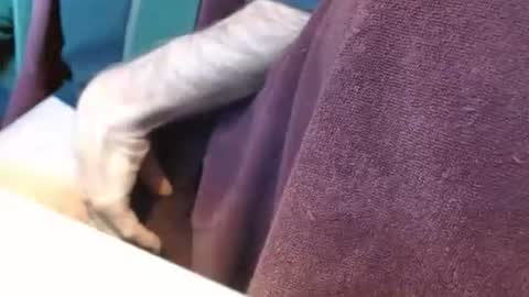 dunany101 online show from December 31, 7:29 pm