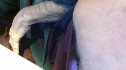 dunany101 online show from January 14, 1:49 pm