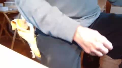 dunany101 online show from January 16, 3:35 pm