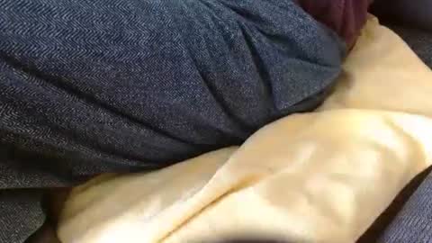 dunany101 online show from February 25, 4:05 pm