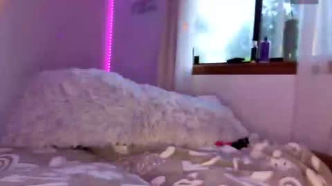 Dust Bunni online show from June 27, 11:04 am