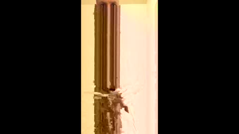 Snapshot of easyeyes1966767 chatting on February 8, 1:31 am easyeyes1966767 online show from February 8, 1:31 am