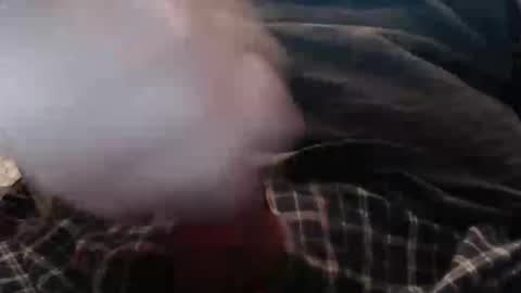 eat_a_peach2 online show from April 2, 10:35 am