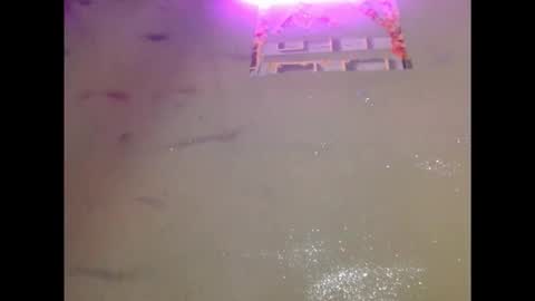 eatuupx online show from December 19, 3:41 pm