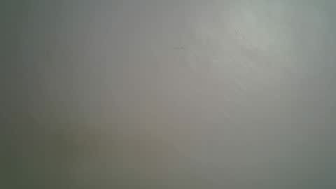 Queen online show from March 15, 8:37 pm