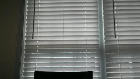 americnbarbie online show from October 29, 3:03 pm