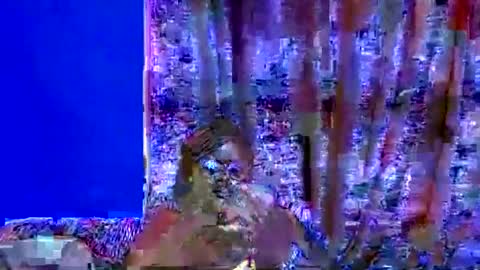 ebonybloom01 online show from September 20, 5:03 pm