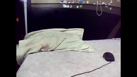 Edd Gallego online show from November 2, 7:05 pm