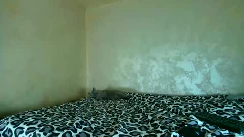 Nomyx  OF check online show from November 20, 5:23 pm