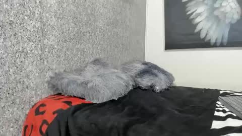 edi_stwix18 online show from January 13, 3:39 pm