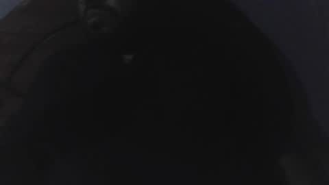 edu4394 online show from March 23, 2:37 am