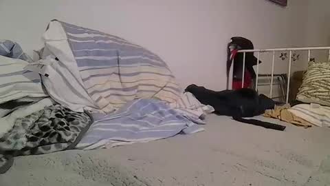 Snapshot of edwill13 chatting on February 12, 10:16 pm EdM online show from February 12, 10:16 pm