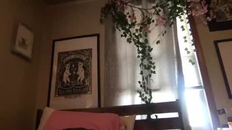 eggnog_and_booty online show from July 9, 8:13 pm