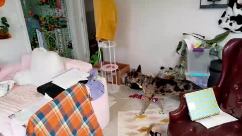 Snapshot of ejrabloom chatting on March 16, 7:29 pm ejrabloom online show from March 16, 7:29 pm