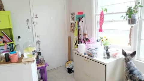 Snapshot of ejrabloom chatting on April 1, 5:10 pm ejrabloom online show from April 1, 5:10 pm