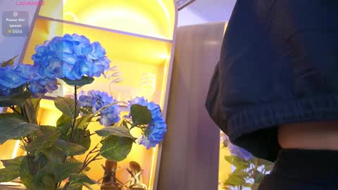 Elasummeer online show from December 17, 12:00 pm