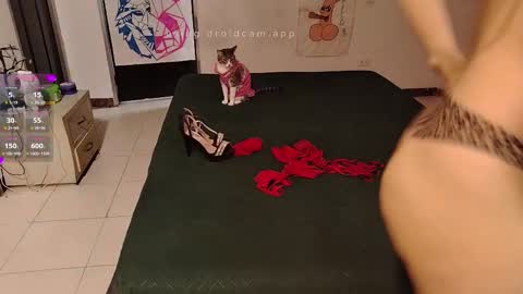 Snapshot of elektra_and_konan_01 chatting on September 20, 12:06 pm Elektra and Konan online show from September 20, 12:06 pm