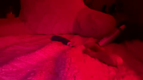 elektratx online show from January 23, 6:49 am