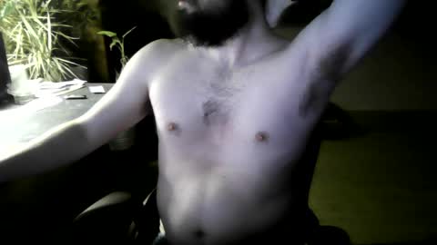 fox online show from April 4, 4:44 am