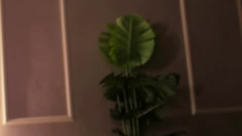 Snapshot of eli_llie chatting on February 18, 4:48 pm Eli online show from February 18, 4:48 pm