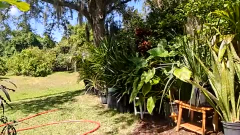 Snapshot of eliberator chatting on May 16, 7:23 pm eliberator online show from May 16, 7:23 pm