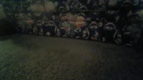 Snapshot of elitehoncho chatting on November 13, 8:46 am jeff online show from November 13, 8:46 am