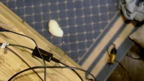 elizabeth_aron online show from March 29, 8:03 am