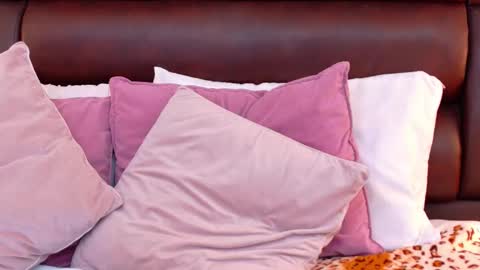 Snapshot of ellasanders chatting on March 27, 11:48 pm Ella Sanders online show from March 27, 11:48 pm