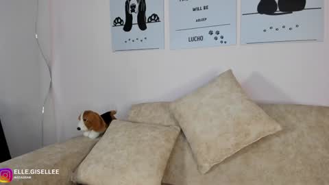 Snapshot of ellegisellee chatting on February 6, 2:00 am Yiss online show from February 6, 2:00 am