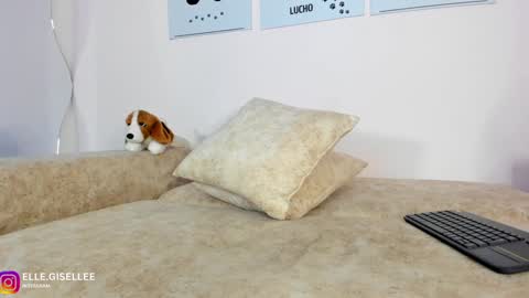 Snapshot of ellegisellee chatting on February 7, 1:43 pm Yiss online show from February 7, 1:43 pm