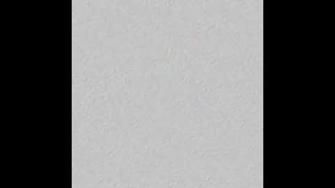 Zeki online show from March 13, 4:46 pm